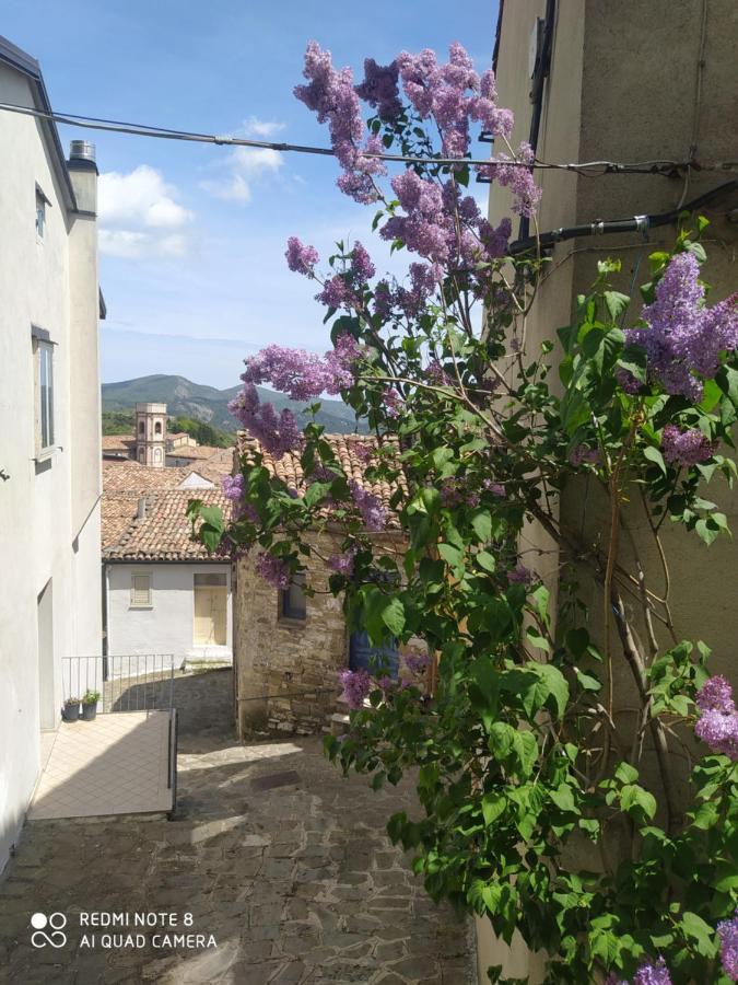 Sant'Elia B&B Alessandria del Carretto Exterior foto